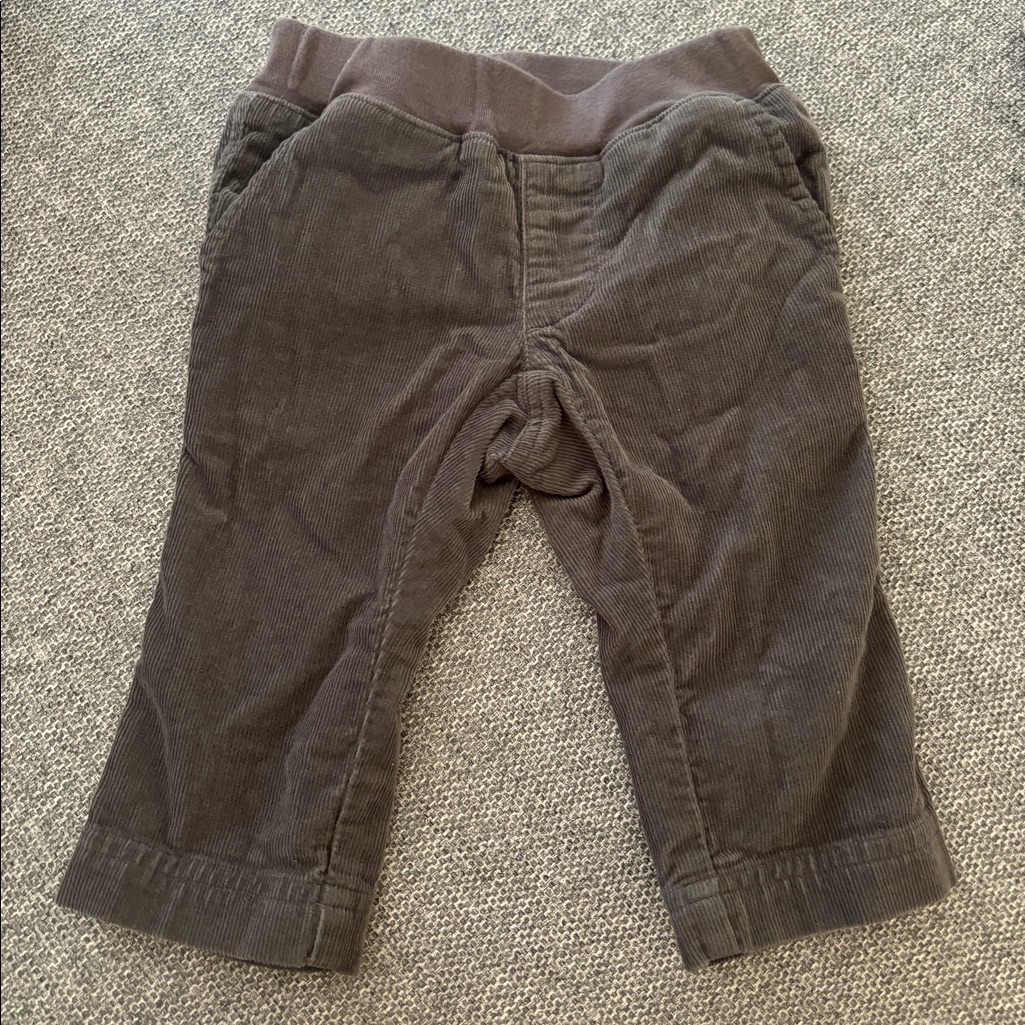 Brand New Tea Collection  Corduroy Pants